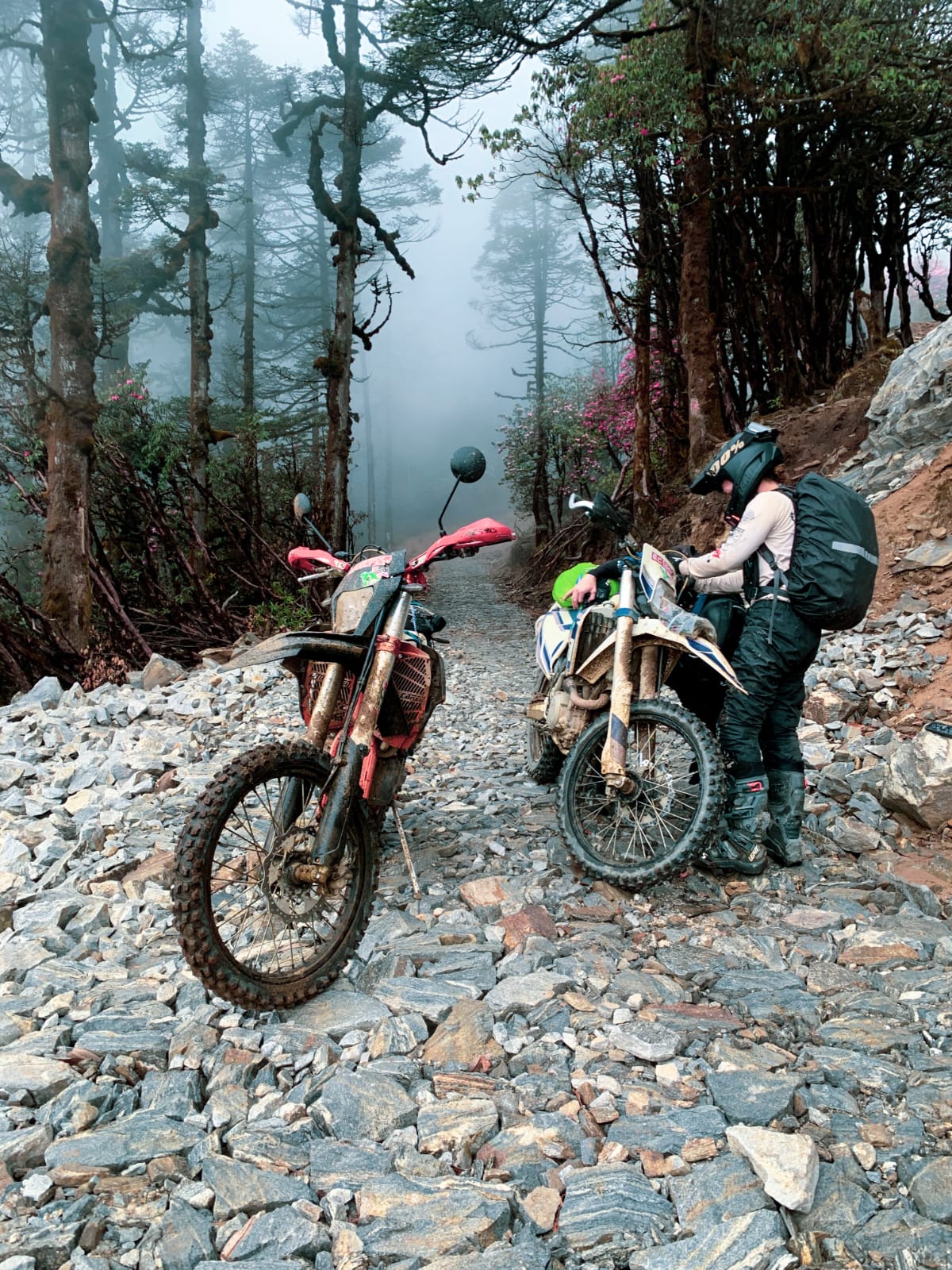 Rider popping the front wheel over a rock garden